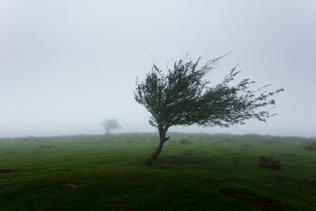 Foto de Khamkéo na Unsplash