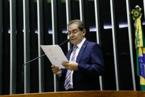 Deputado Paulinho da Força Foto: Elaine Menke/Câmara dos Deputados