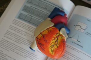 Foto de Robina Weermeijer na Unsplash
