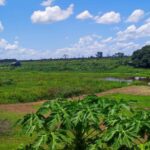 Moradores denunciam abandono do Corixo Gonçalinho e cobram ação urgente do DNIT