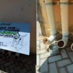 Randolfe inaugura comedouro de PVC para cães e vira meme nas redes