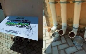 Randolfe Rodrigues inaugurou um comedouro para cães Fotos: Reprodução Instagram